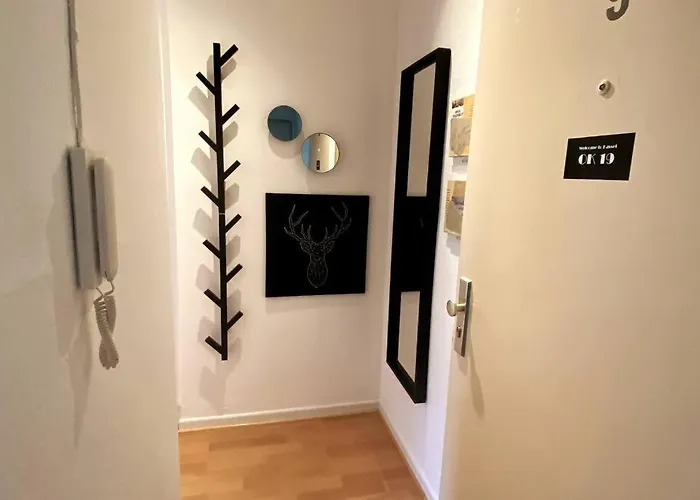 Geschmackvolles 2 Zi Apartment No4 In Top Stadtlage Kassel